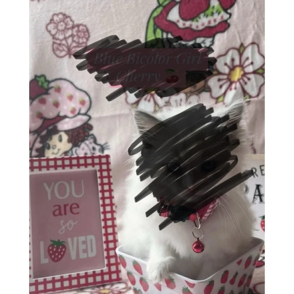 Strawberry Shortcake Blanket Photography Props For Pet Or Child Photo Shoot